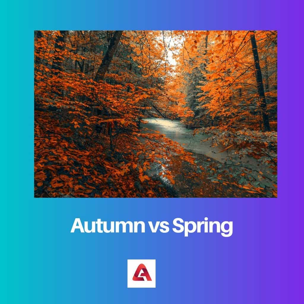 Autumn vs Spring Difference and Comparison