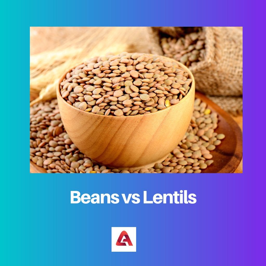 Beans vs Lentils
