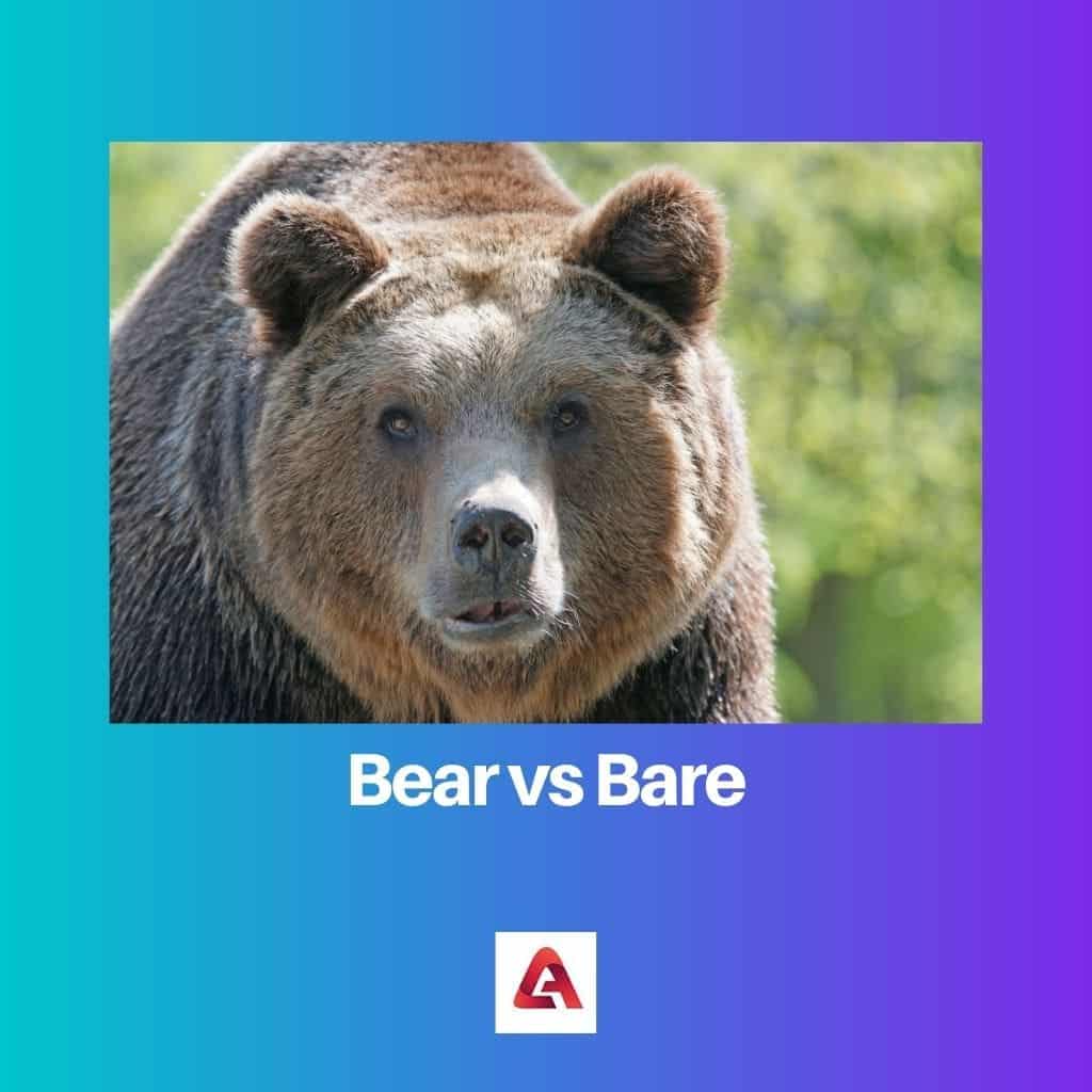 Bare vs. Bear: What Is The Difference? 