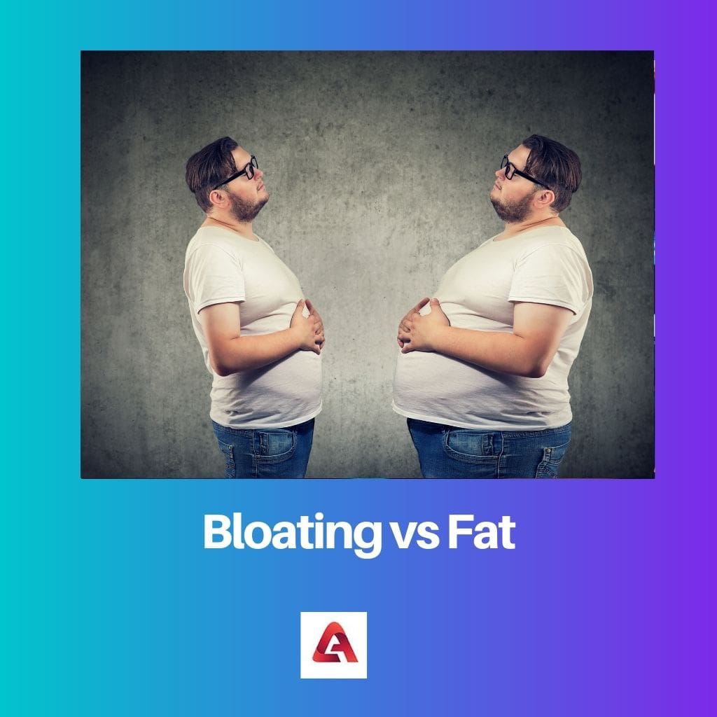 Bloating vs Fat