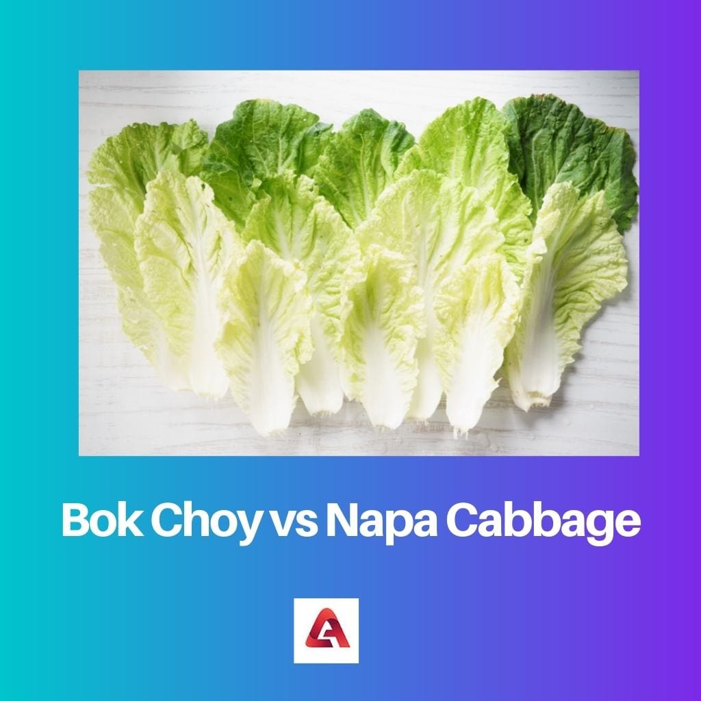 Bok Choy vs Napa Cabbage