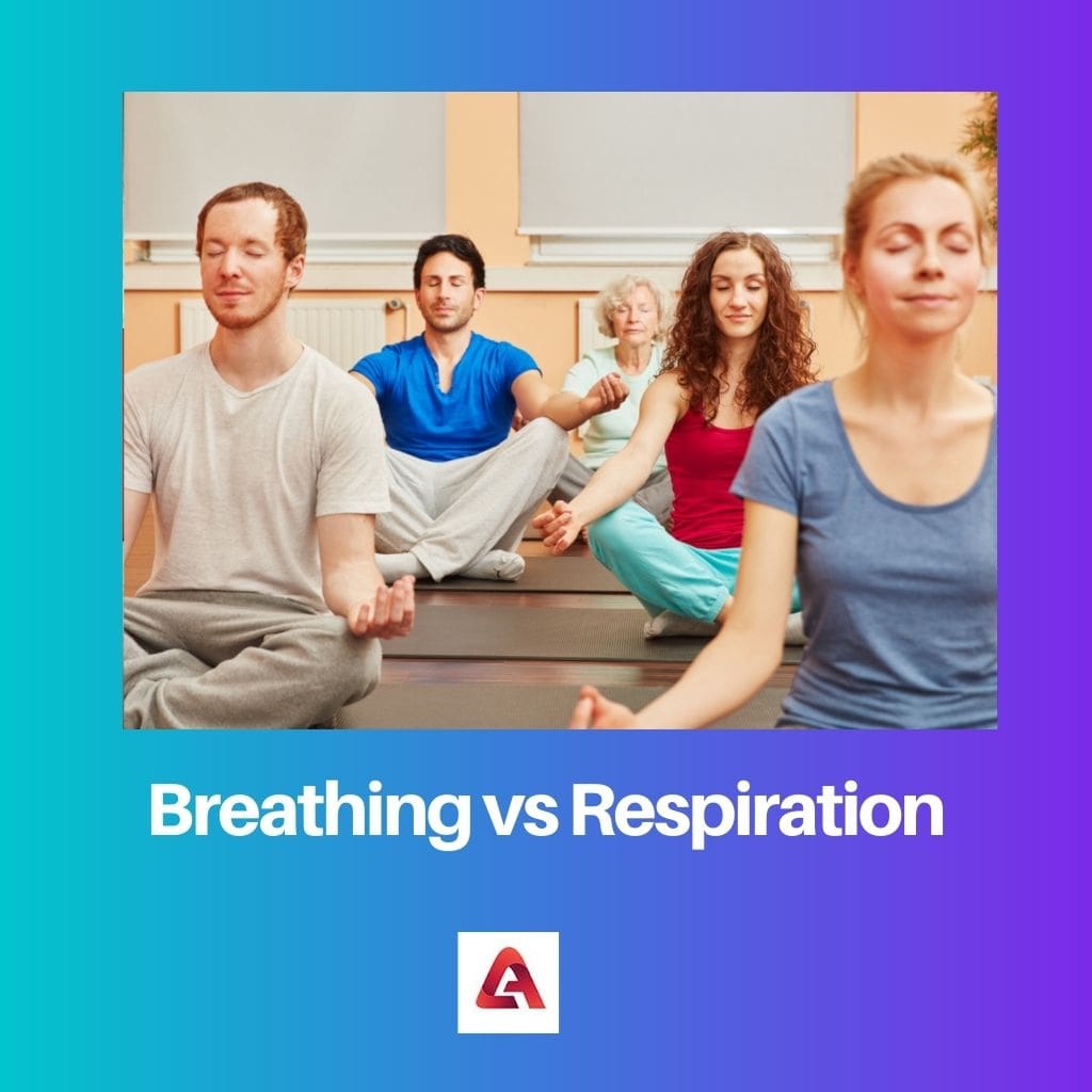 Breathing vs Respiration