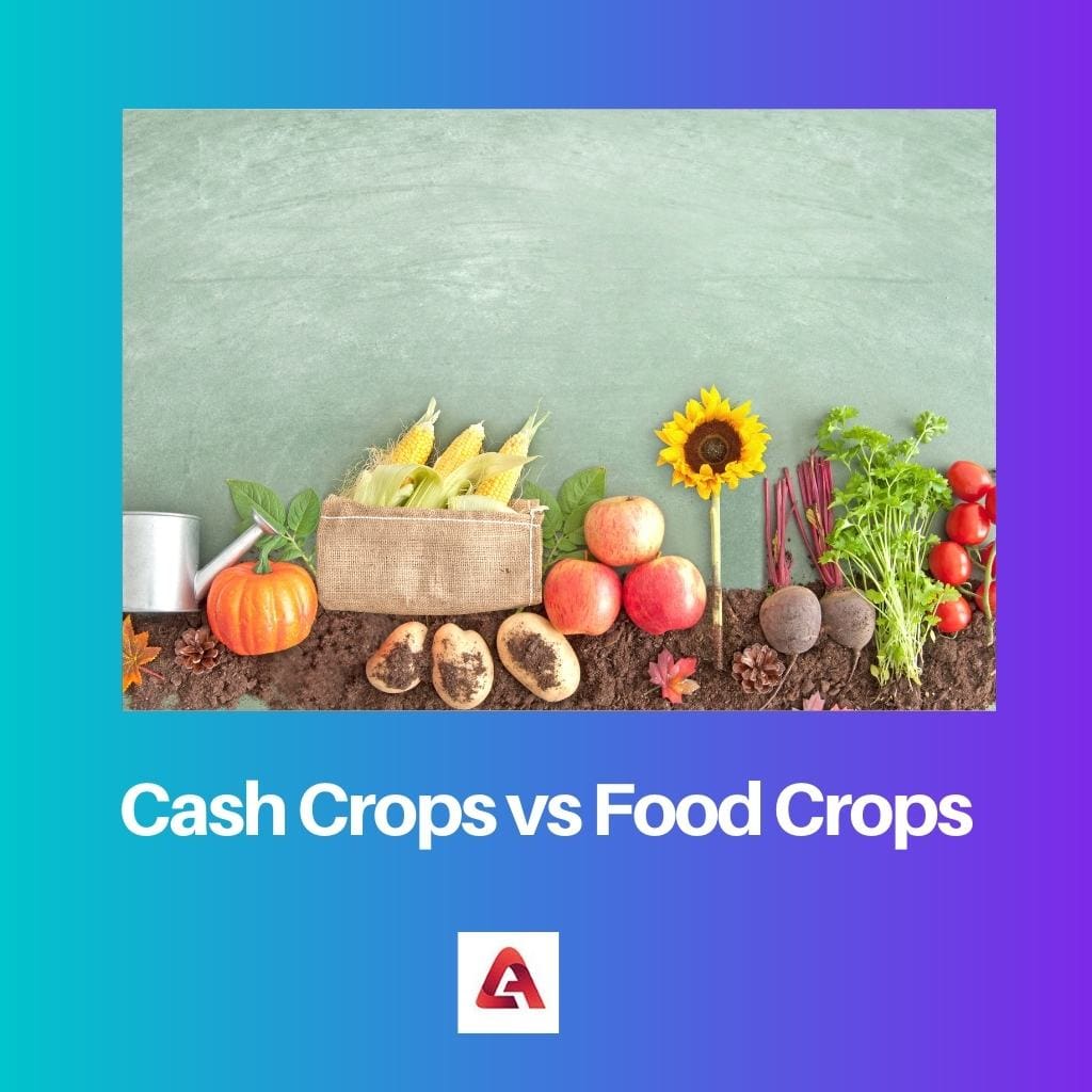 Cash Crops vs Food Crops