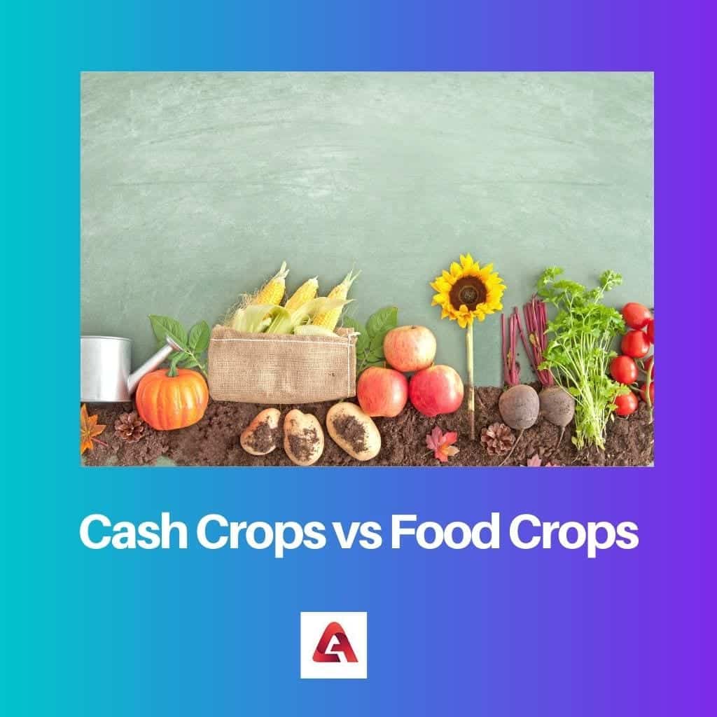 Cash Crops Vs Food Crops Difference And Comparison