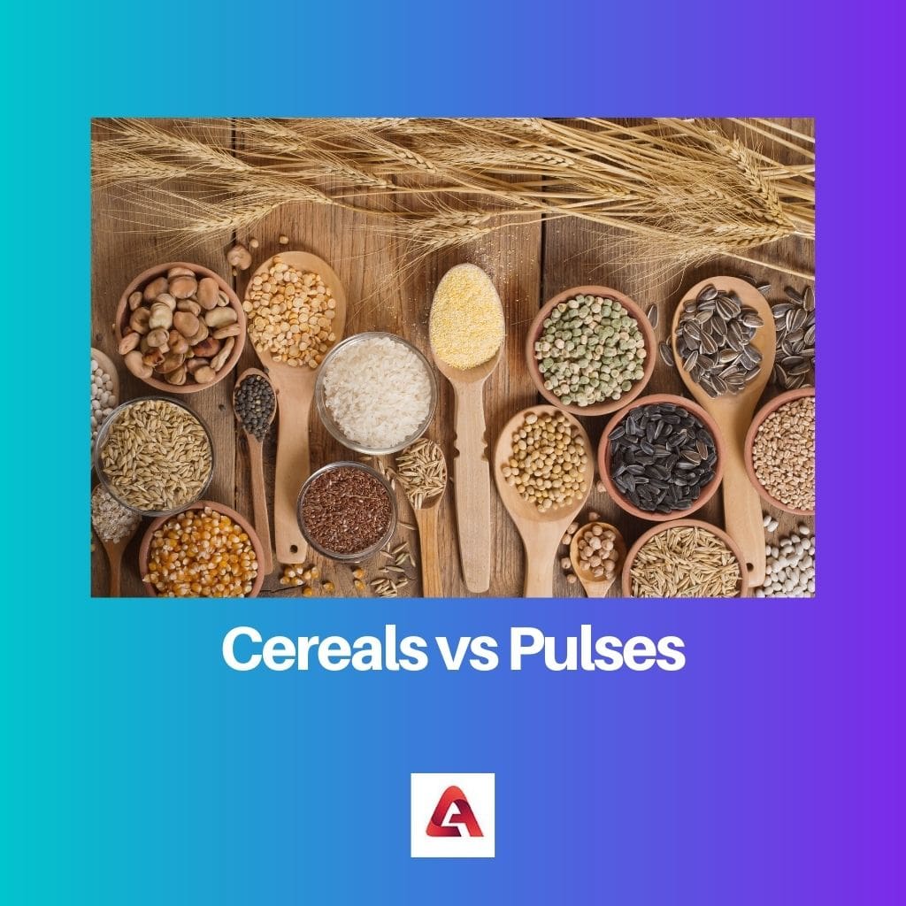 Cereales vs Legumbres