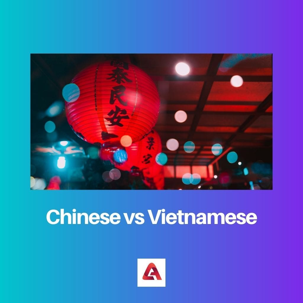 Chinese vs Vietnamese