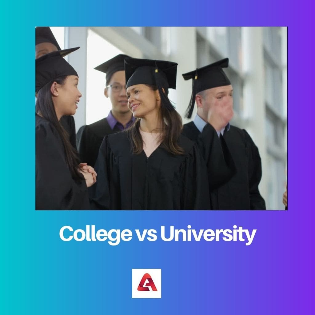 College vs Universitet