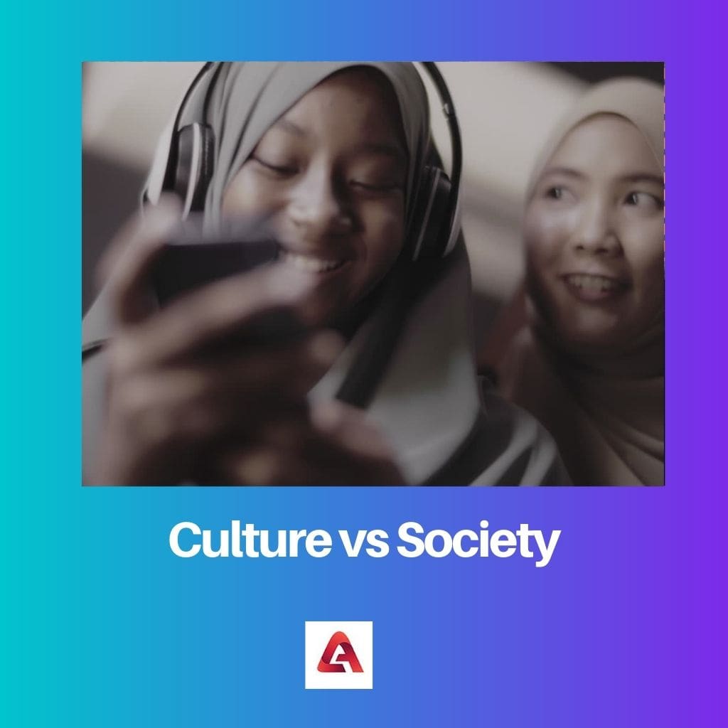 Culture vs Society