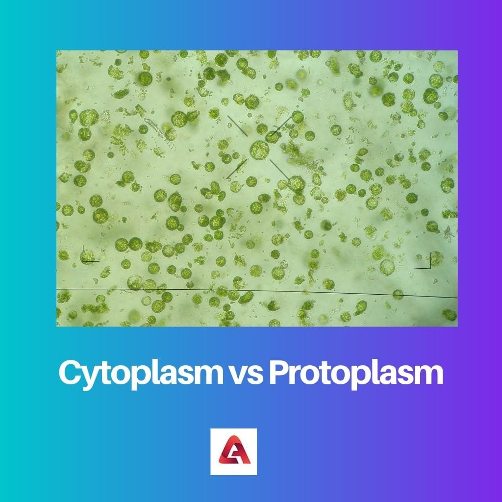 Cytoplasma versus protoplasma