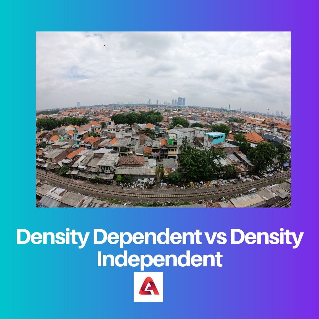 Density Dependent vs Density Independent 3