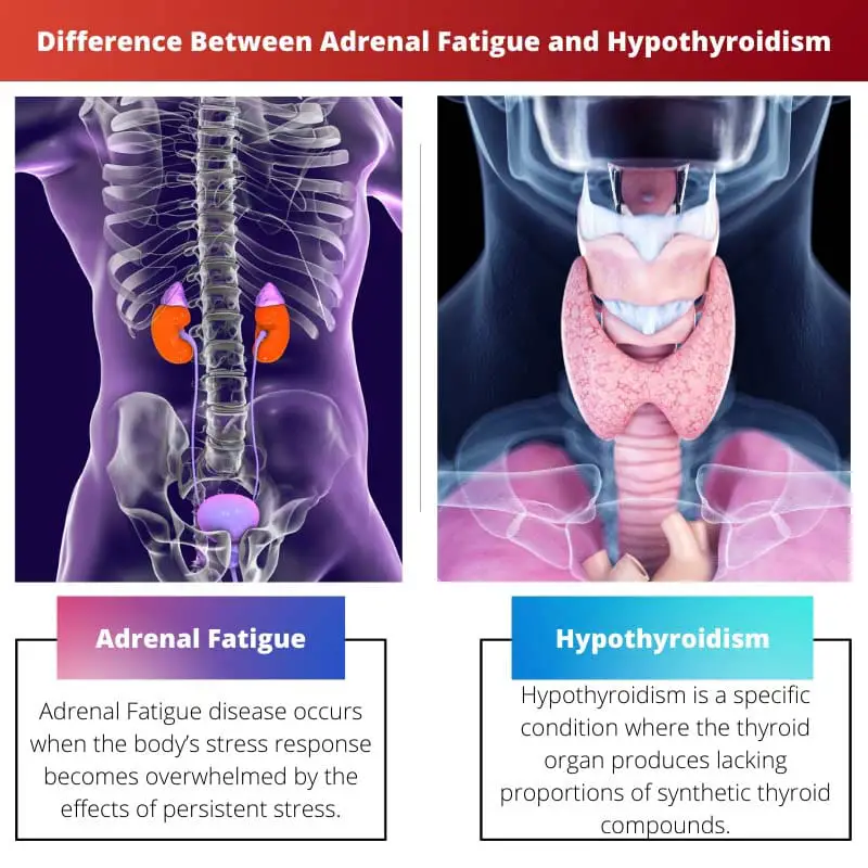 Rozdíl mezi únavou nadledvin a hypotyreózou