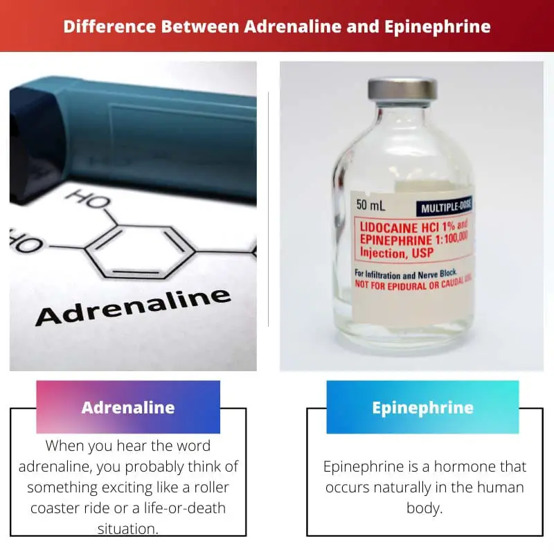 Difference Between Adrenaline and Epinephrine