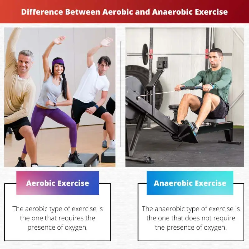 Différence entre aérobie et anaérobie