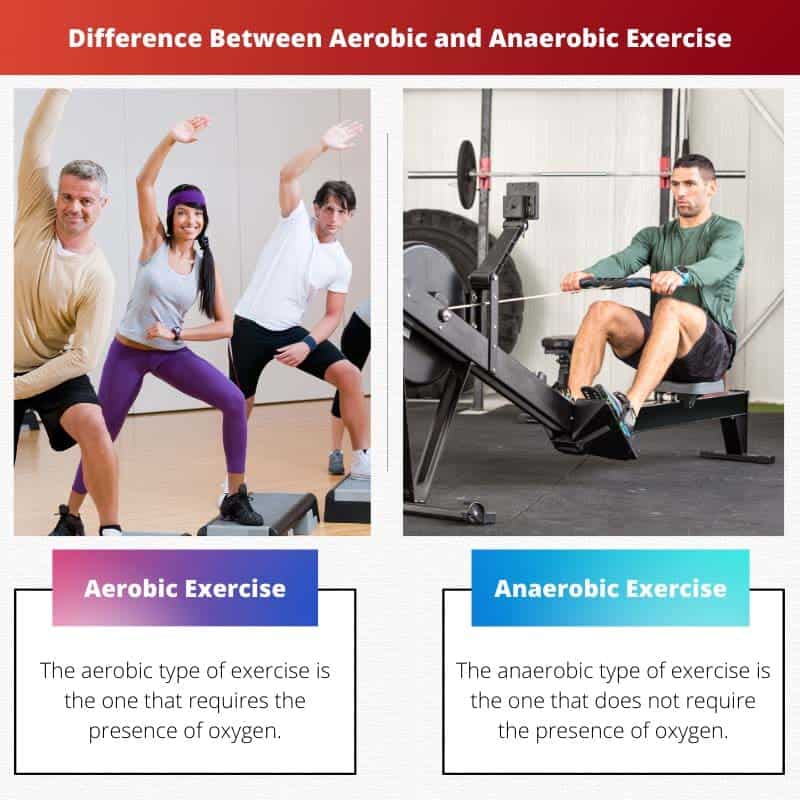 Whats The Difference Between Aerobic And Anaerobic The Difference The