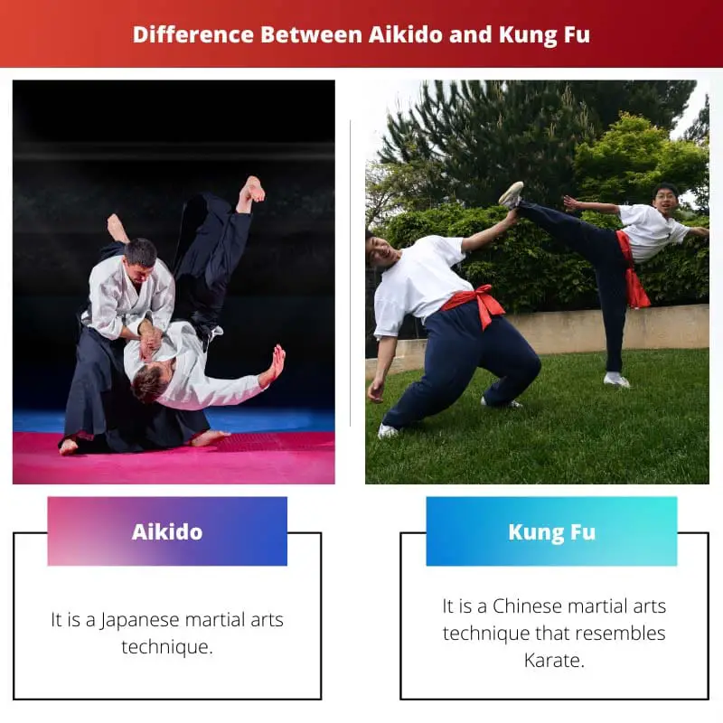 Difference Between Aikido and Kung Fu