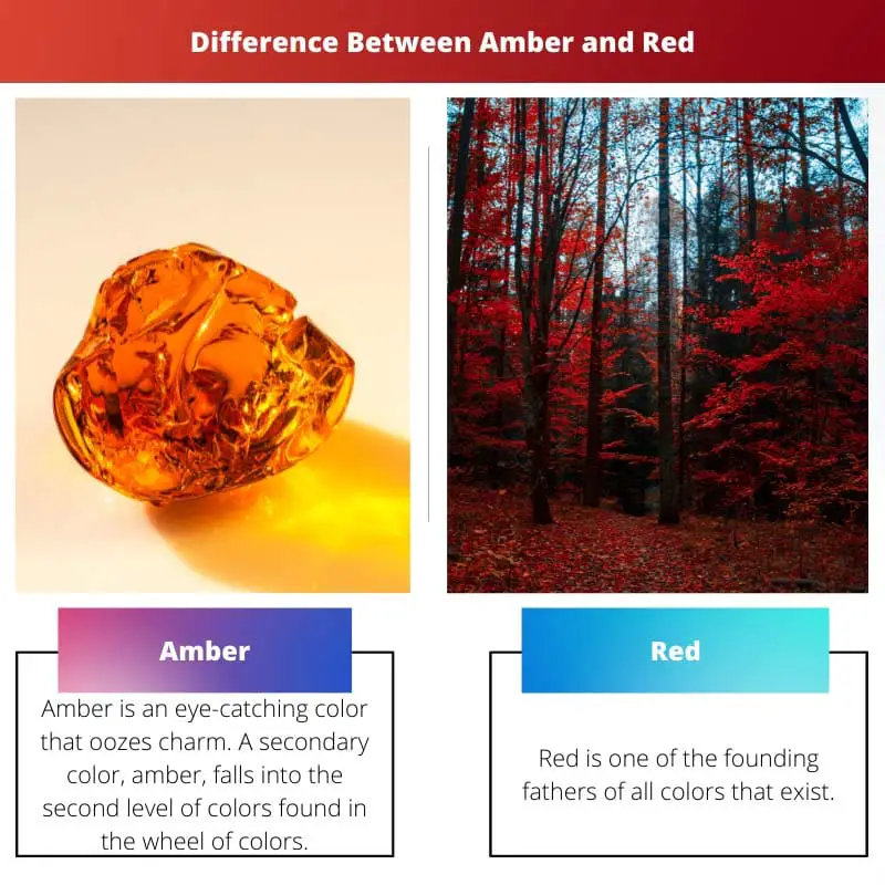 Разлика између ћилибара и црвене боје