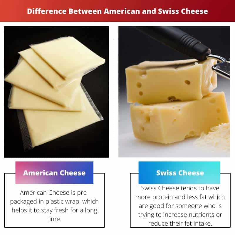 Diferença entre queijo americano e suíço