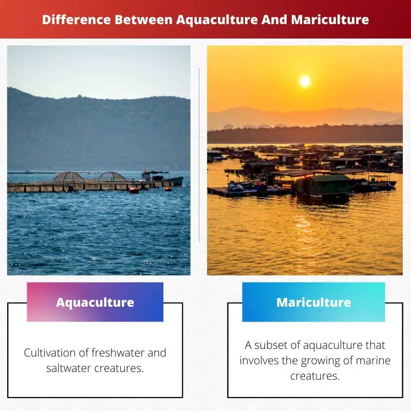 Difference Between Aquaculture And Mariculture