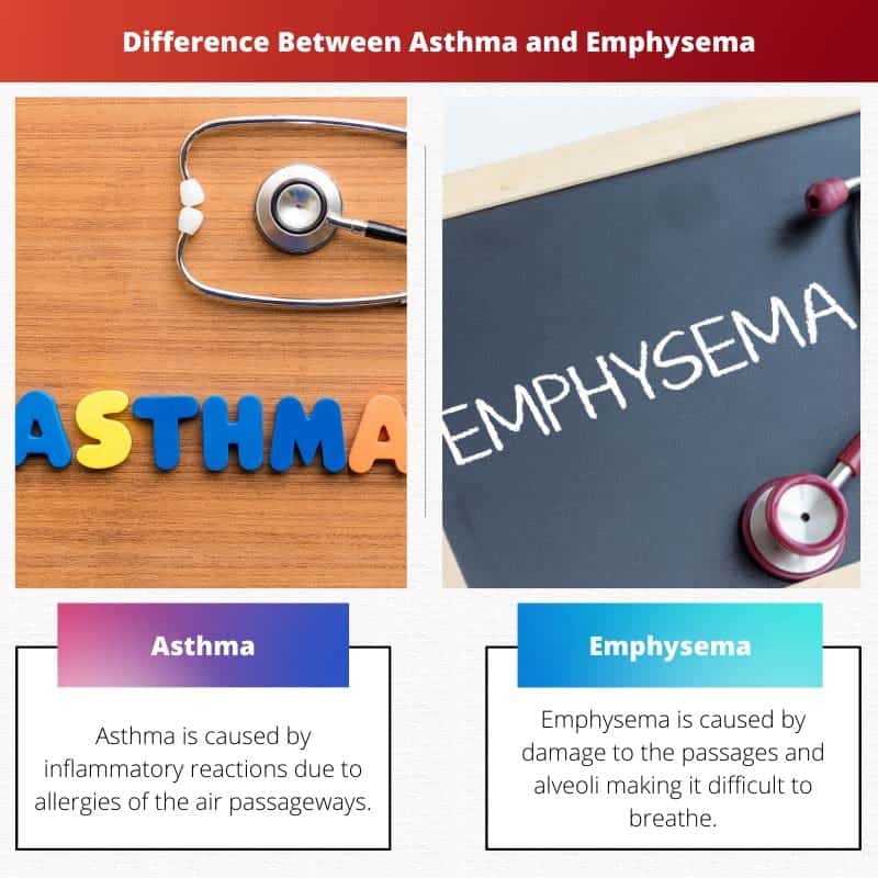 Rozdíl mezi astmatem a emfyzémem