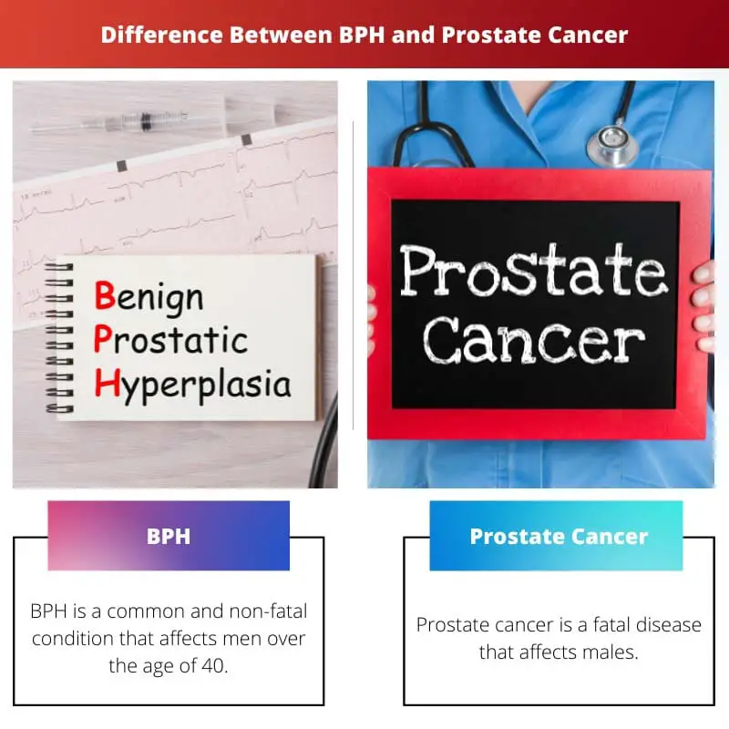 Difference Between BPH and Prostate Cancer