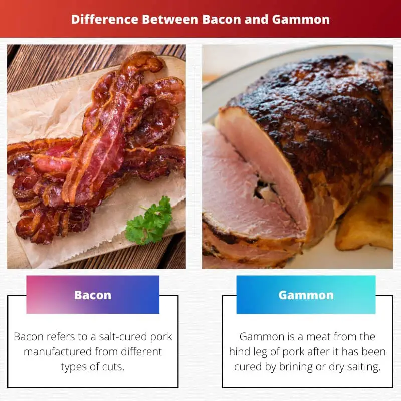 Difference Between Bacon and Gammon