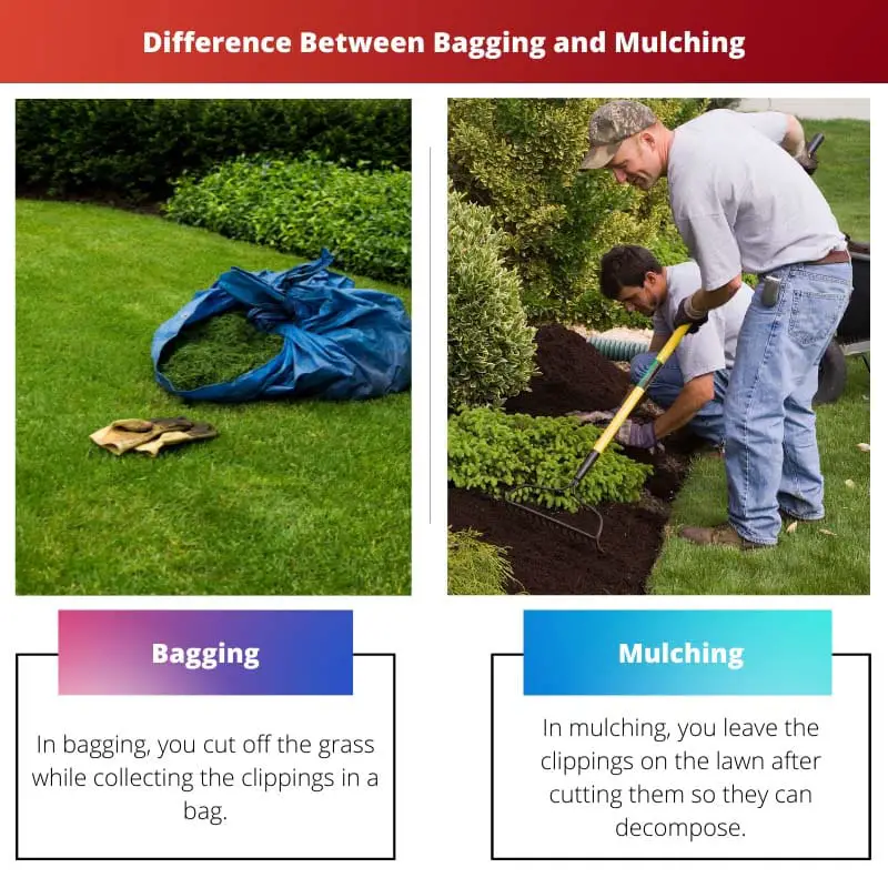 Difference Between Bagging and Mulching