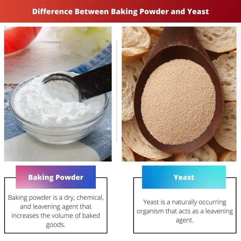 Difference Between Baking Powder and Yeast