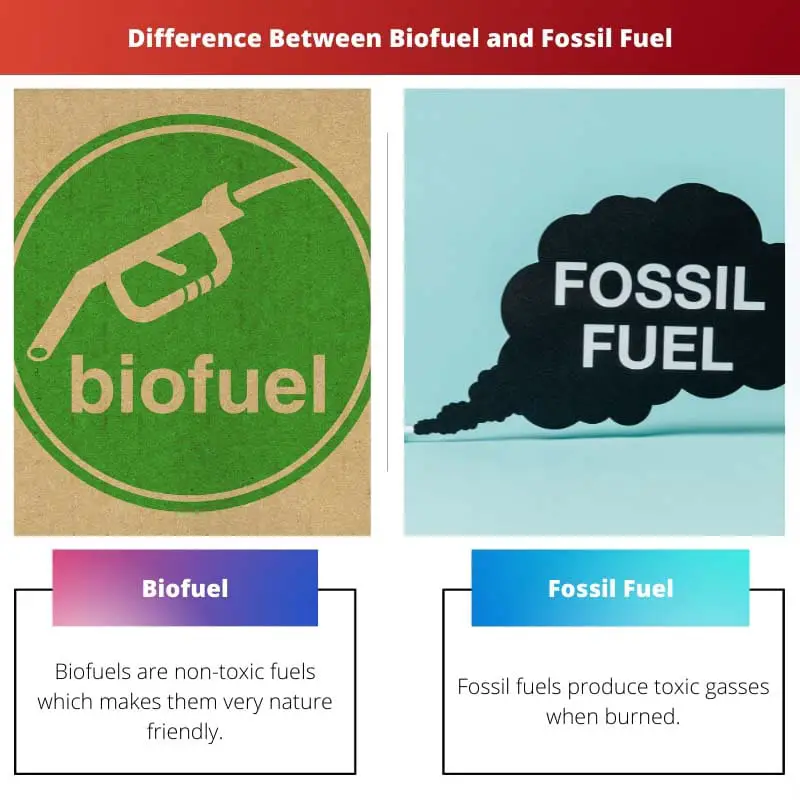 Diferença entre biocombustível e combustível fóssil