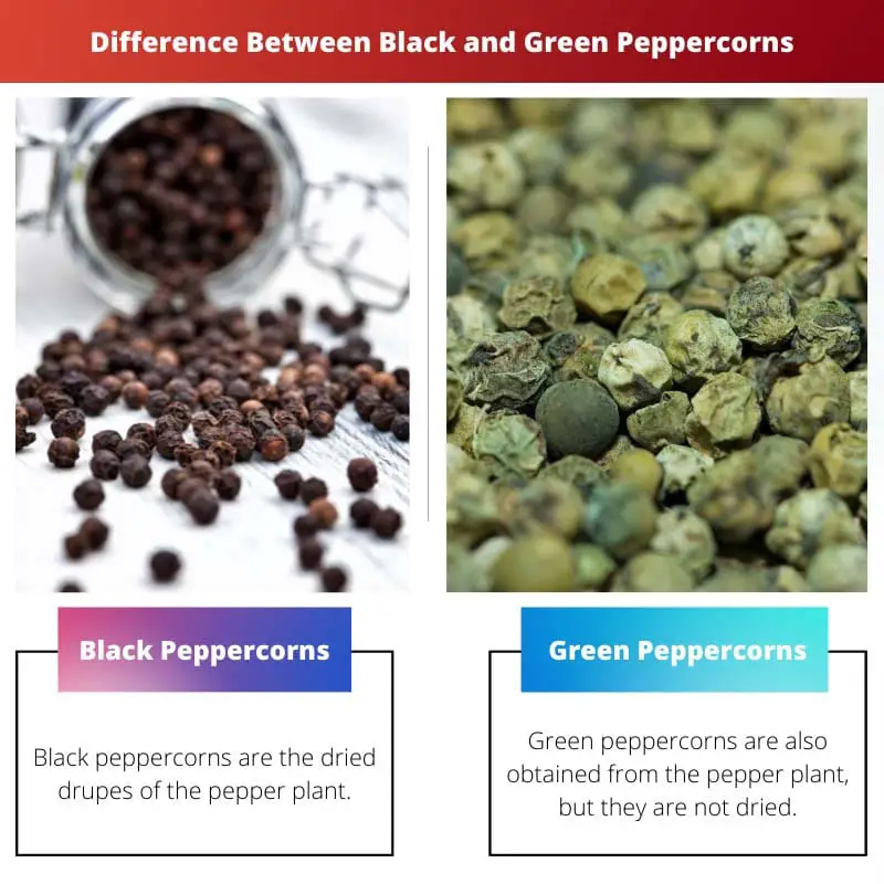 Différence entre les grains de poivre noir et vert