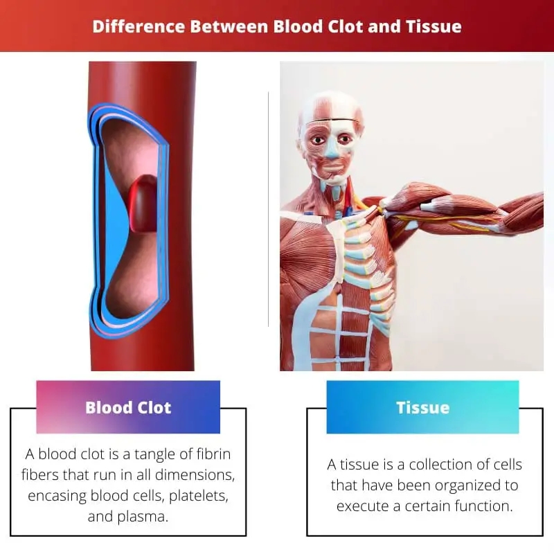 Difference Between Blood Clot and Tissue