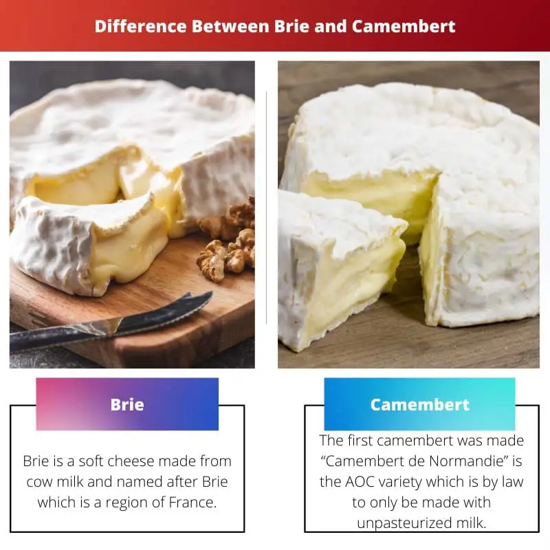 Difference Between Brie and Camembert