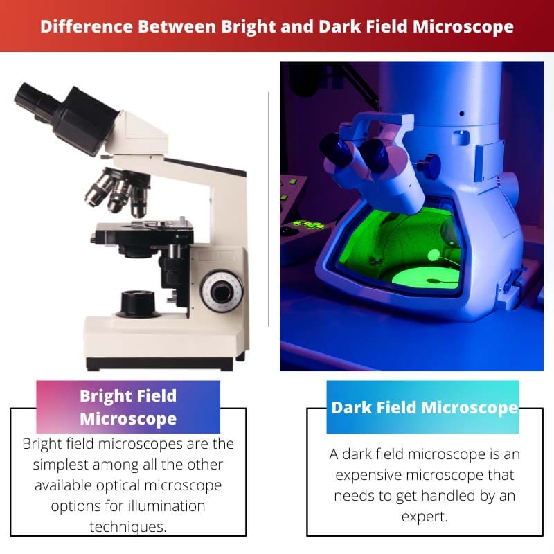 Difference Between Bright and Dark Field Microscope