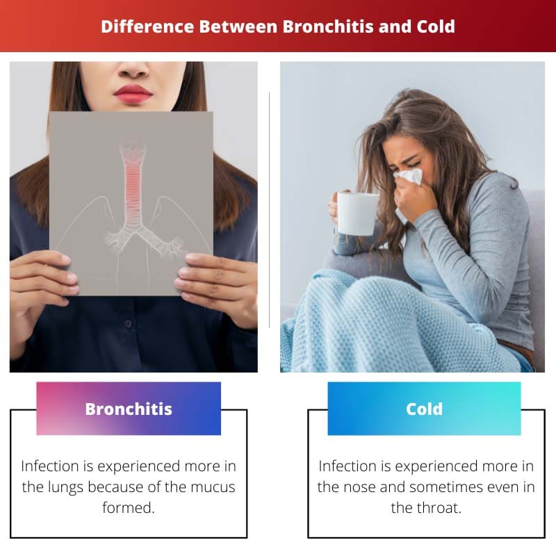 Difference Between Bronchitis and Cold