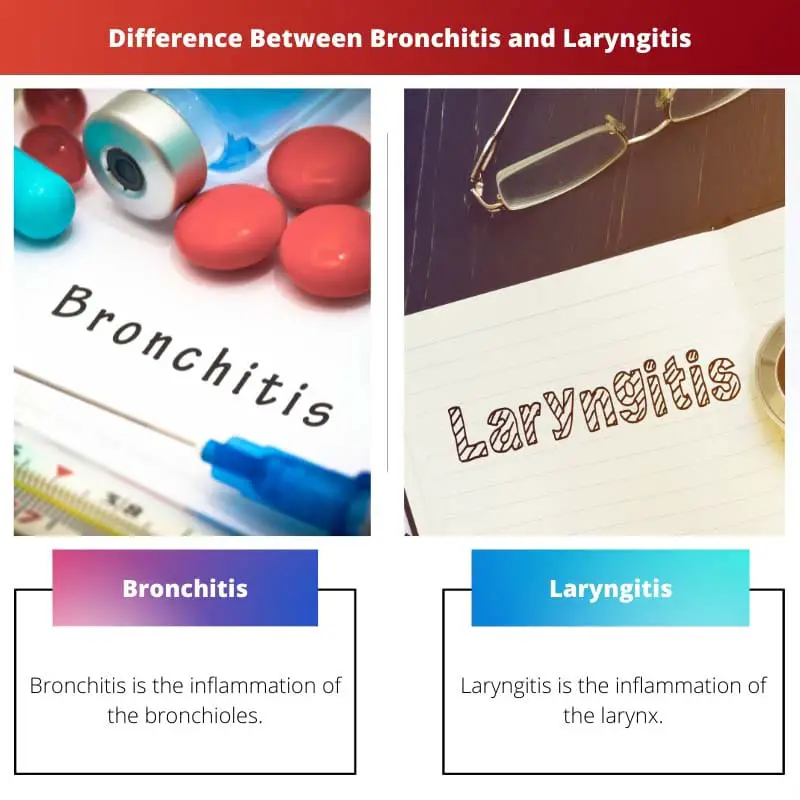 Rozdíl mezi bronchitidou a laryngitidou