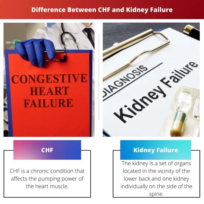Atšķirība starp CHF un nieru mazspēju
