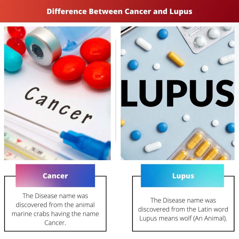 कैंसर और ल्यूपस के बीच अंतर