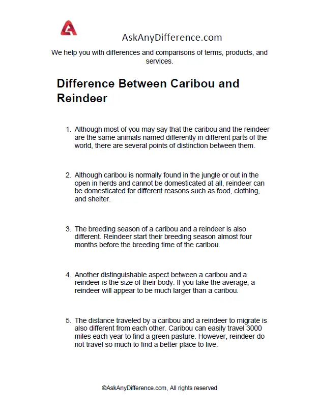 Difference Between Caribou and Reindeer