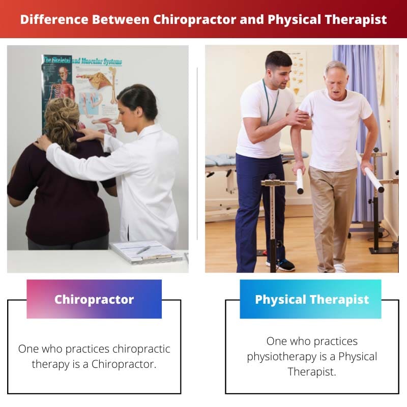 Difference Between Chiropractor and Physical Therapist