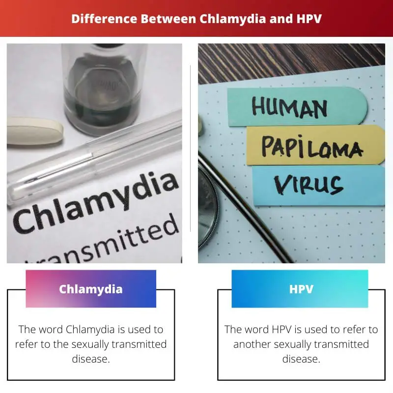 Difference Between Chlamydia and HPV