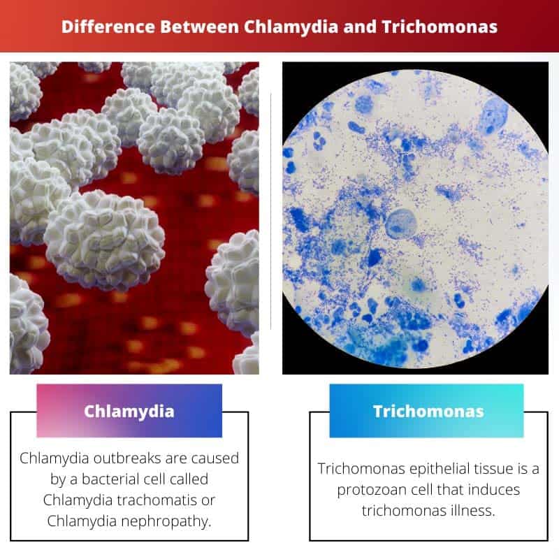 Разница между хламидиозом и трихомонадой