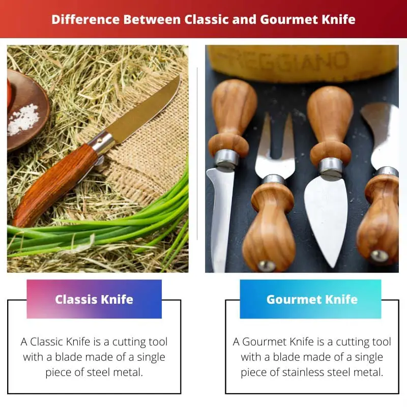 Difference Between Classic and Gourmet Knife