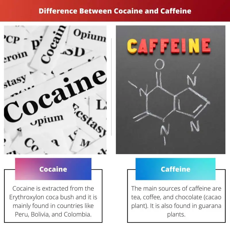 Difference Between Cocaine and Caffeine