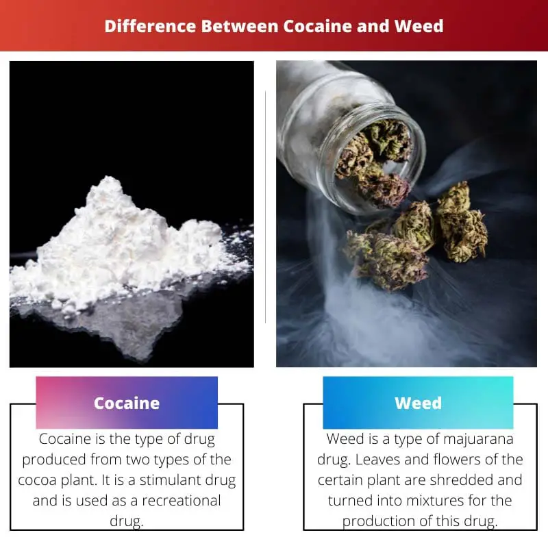 Difference Between Cocaine and Weed