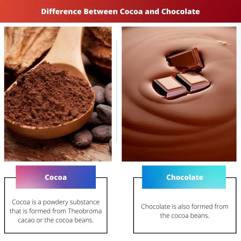 Differenza tra cacao e cioccolato