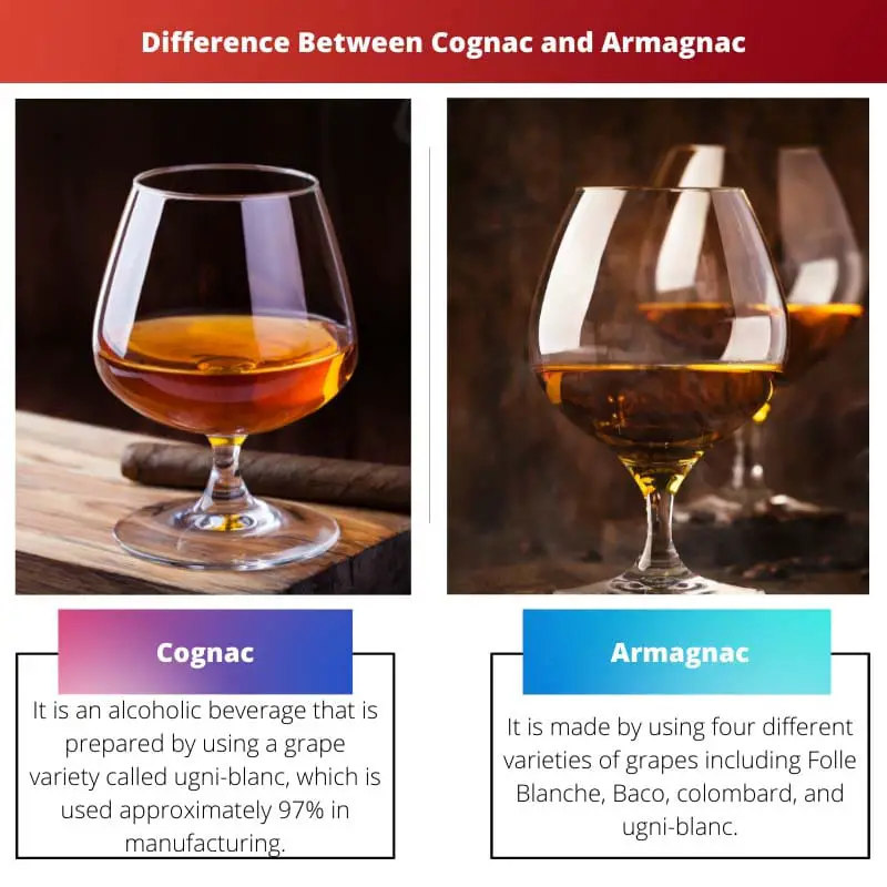 Verschil tussen Cognac en Armagnac