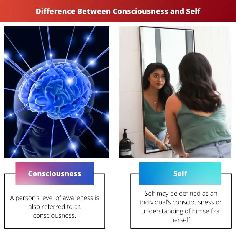 Atšķirība starp apziņu un sevi
