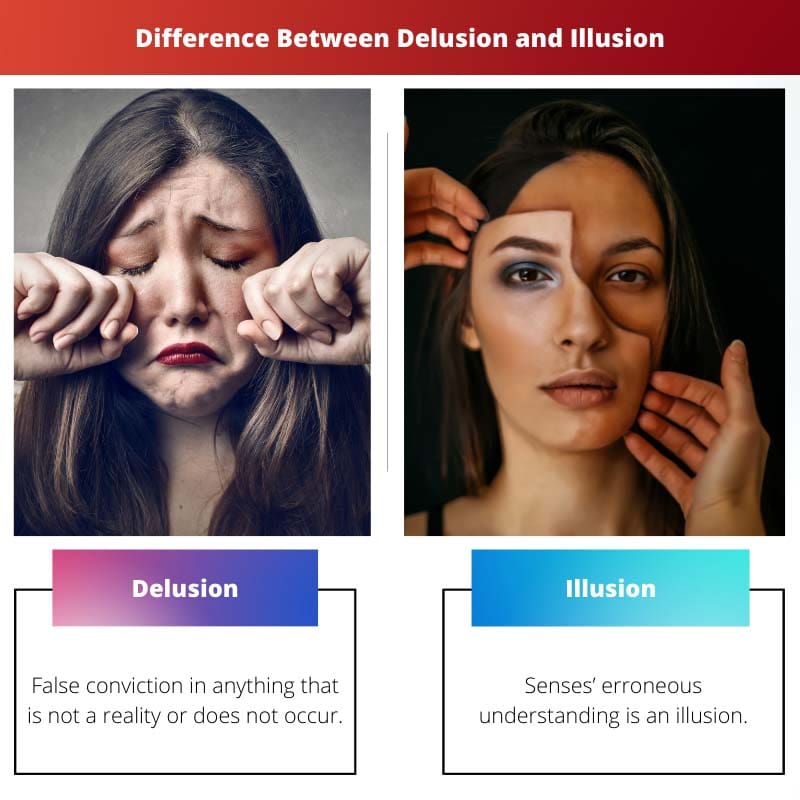 Difference Between Delusion and Illusion