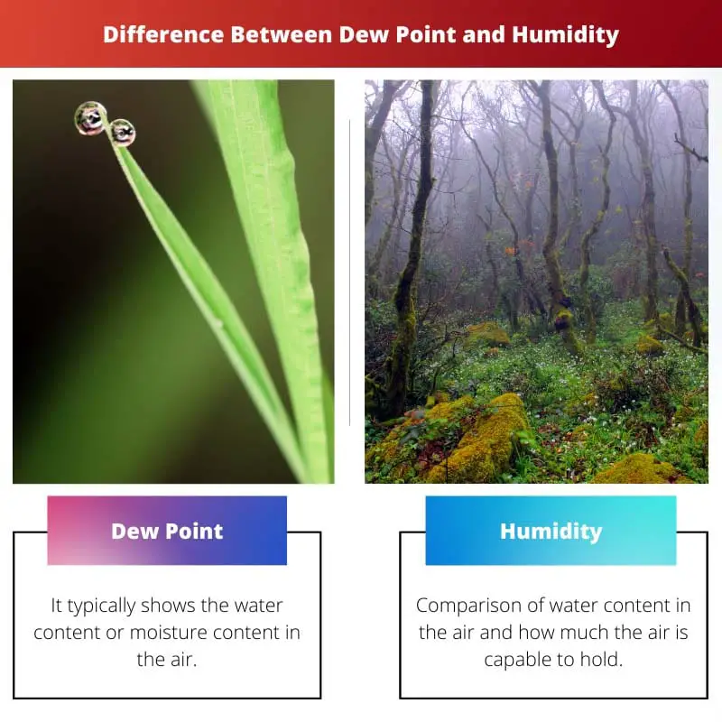 Разлика између тачке росе и влажности