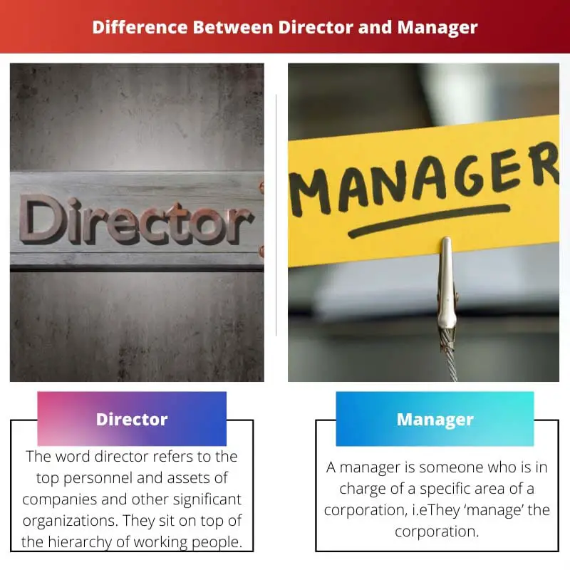 Difference Between Director and Manager