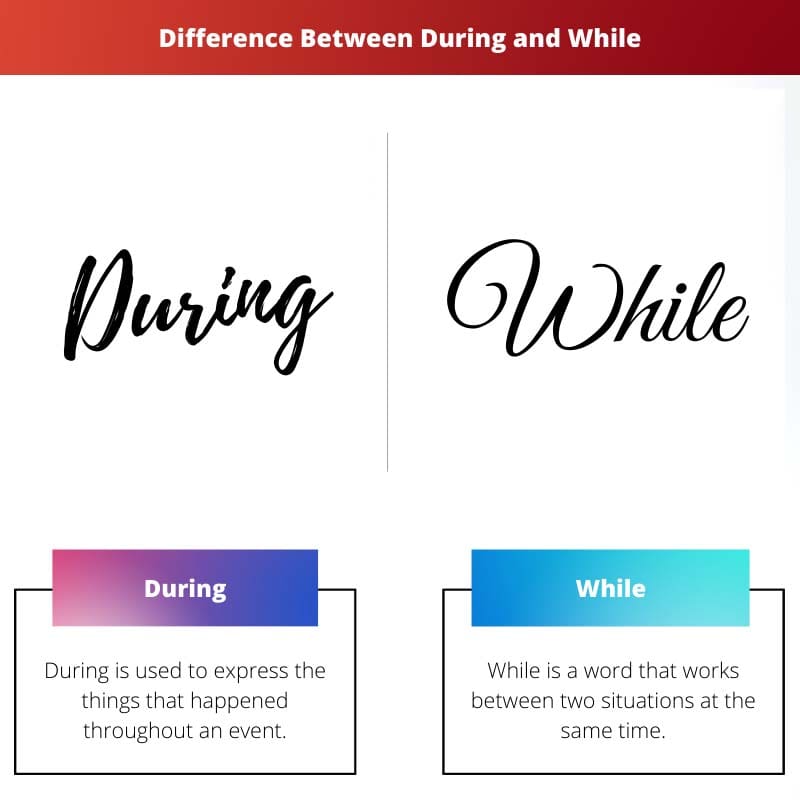 Difference Between During and While